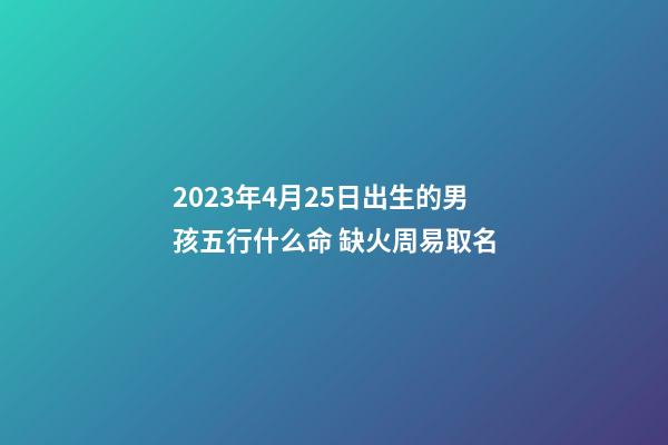 2023年4月25日出生的男孩五行什么命 缺火周易取名